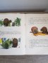 Стари детски книжки - 3 броя, снимка 5