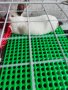 Пластмасови подови решетки за клетки за зайци, Дъна 59х59 см, Комплект 10 броя, снимка 11