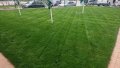 Продажба на тревен чим- 17лв/кв.м.Полагане на тревен чим(27лв./кв.м.- чимът е включен в цената), снимка 13