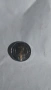 монета от 2лв , снимка 1