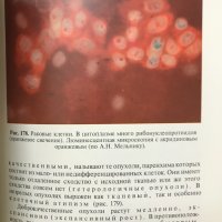 Патологическая анатомия. Атлас - В. В. Серов, Н. Е. Ярыгин, В. С. Пауков, снимка 6 - Специализирана литература - 28598429