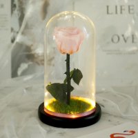 Вечна естествена роза в стъкленица, снимка 3 - Декорация за дома - 27657211