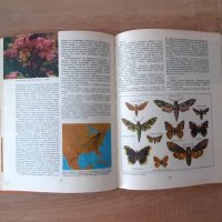 Ретро детски-енциклопедии  от80-те години, 3броя за33лв, снимка 6 - Детски книжки - 43601391