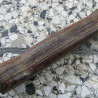 Стар касапски нож , снимка 3 - Антикварни и старинни предмети - 28486172