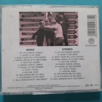 The Beach Boys(Beat) -8CD(Remaster,Mono + Stereo), снимка 4 - CD дискове - 40496911