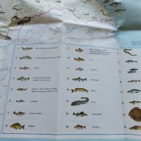 Карта "Рибите в България - къде,кога и как да ловим риба" - 2005 г., снимка 4 - Колекции - 35142262