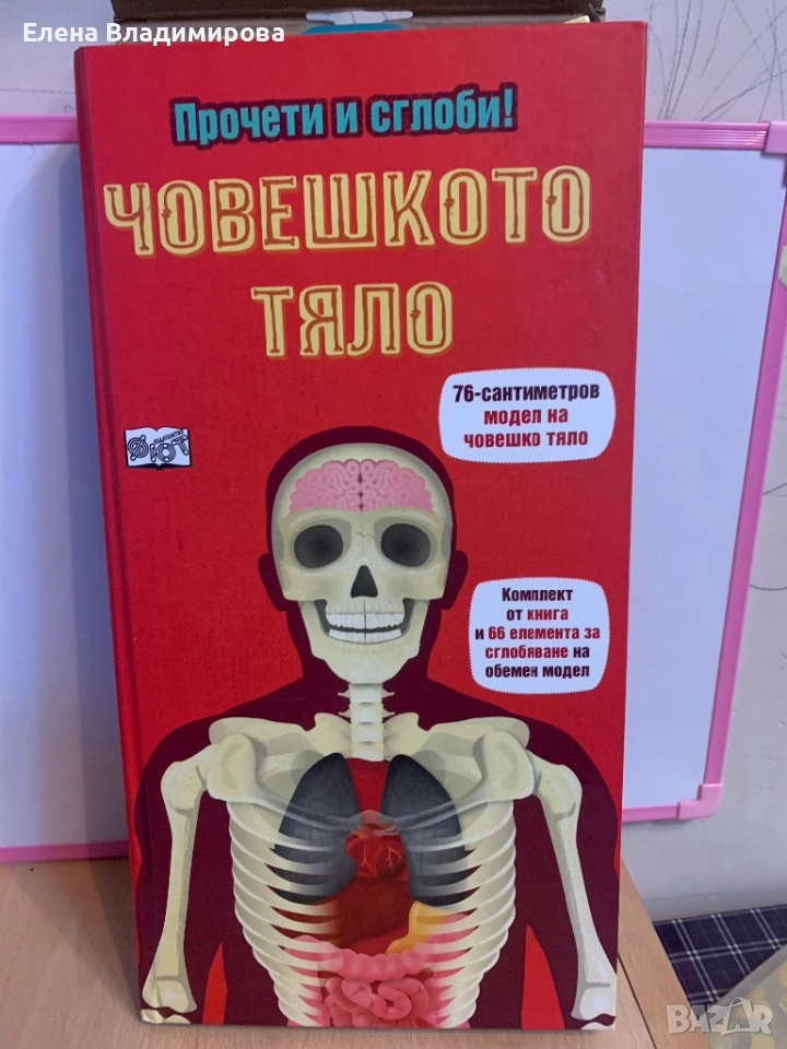 Детски игри и модел на човешкото тяло, снимка 1