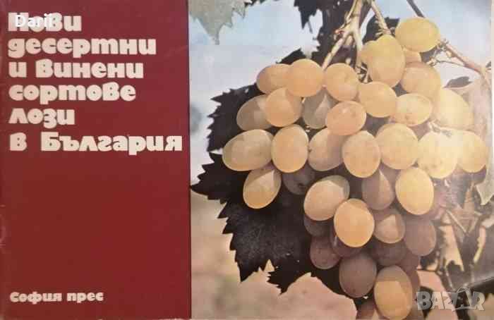Нови десертни и винени сортове лози в България, снимка 1