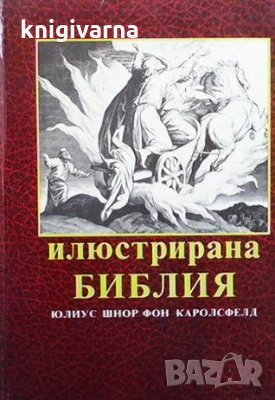 Илюстрирана библия, снимка 1