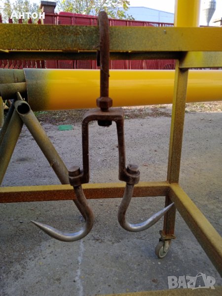 Ченгел здрав, снимка 1