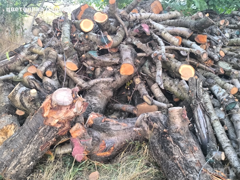 Дърва за огрев , снимка 1