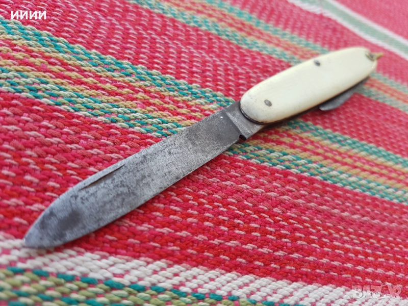 Ножка слонова кост , снимка 1