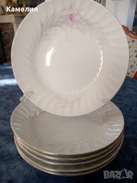 Чинии , снимка 1