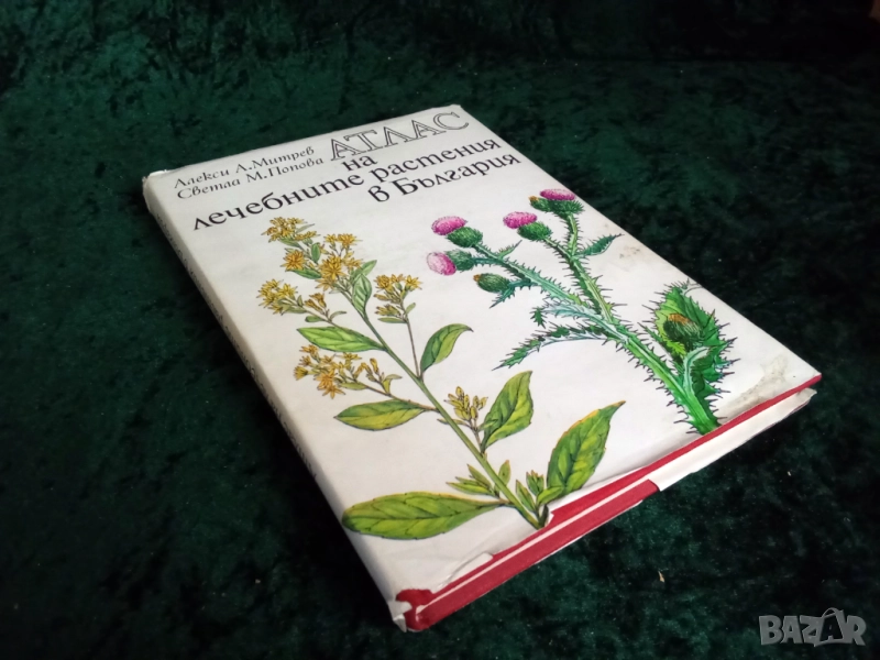 Атлас на лечебните растения в България Алекси А. Митрев Светла М. Попова , снимка 1