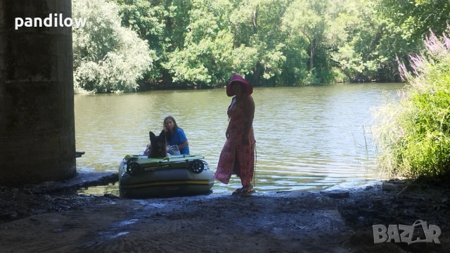 Немска овчарка си търси приятелка, снимка 8 - Немска овчарка - 51233977