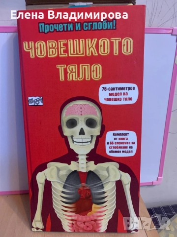 Детски игри и модел на човешкото тяло