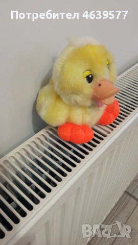 Плюшено пате