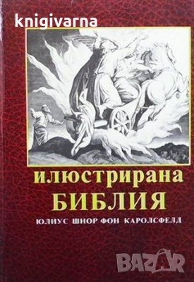 Илюстрирана библия, снимка 1 - Езотерика - 35275134