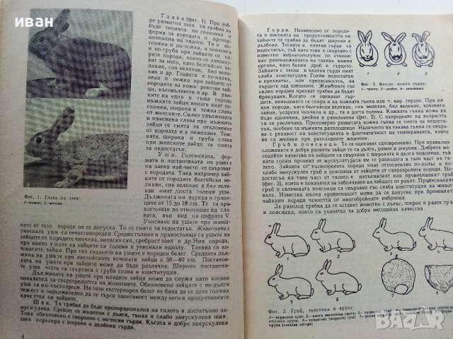 Ръководство за упражнения по зайцевъдство и дивечовъдство - Н.Дамянова,И.Григоров - 1990г., снимка 4 - Специализирана литература - 38347530
