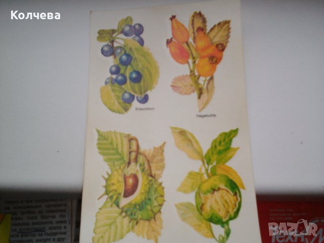 продавам лепенски за яйца, разтворими във вода, снимка 17 - Други - 40065421