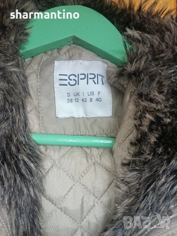 дамско яке Esprit L с вата и качулка - 29 лв, снимка 2 - Якета - 52552712