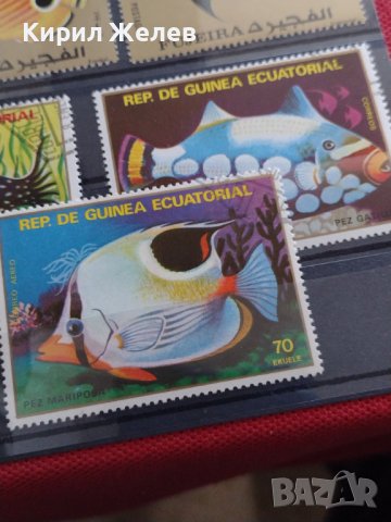 Пощенски марки две серии ЕКВАТОРИАЛНИ РИБИ ПЕРФЕКТНИ за КОЛЕКЦИЯ 37885 , снимка 10 - Филателия - 40476455