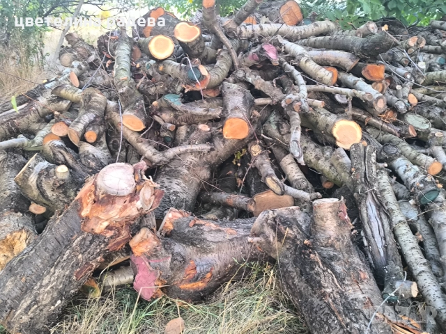 Дърва за огрев 