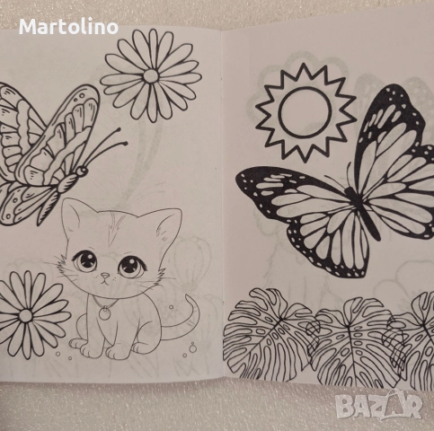 Книжка за оцветяване с име и години на детето с котета, снимка 11 - Детски книжки - 52930490