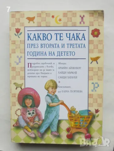 Книга Какво те чака през втората и третата година на детето - Арлийн Айзенберг и др. 2004 г., снимка 1
