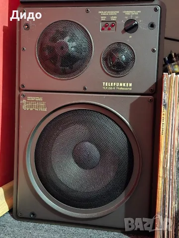 TELEFUNKEN TLX22/4Professional, снимка 3 - Тонколони - 49861507