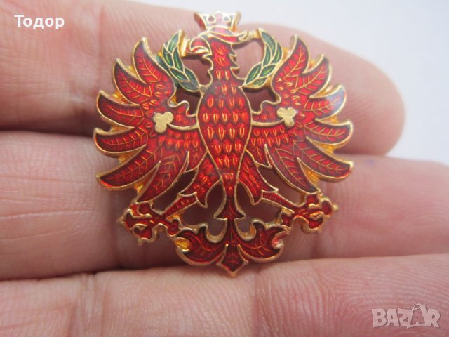 Невероятен бронзов знак значка орел емайл, снимка 2 - Колекции - 36598011