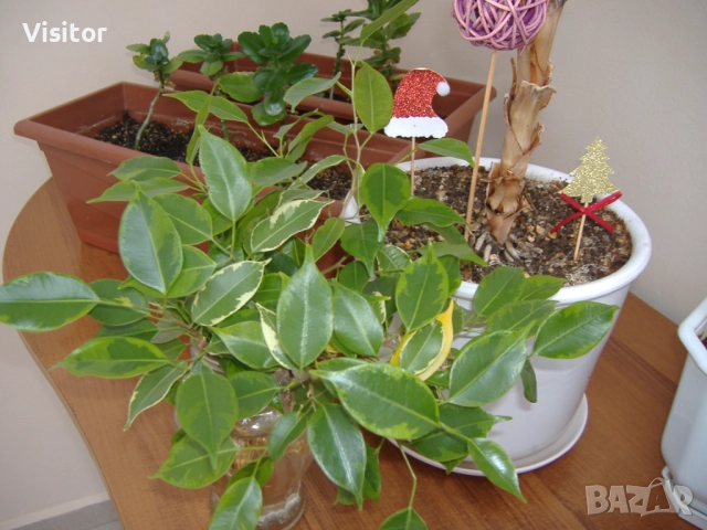 фотоапарат Fujifilm FinePix A345 , снимка 17 - Фотоапарати - 52738803