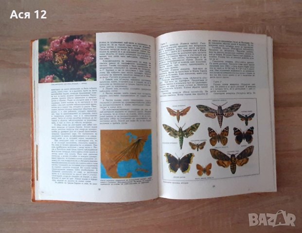 Ретро детски-енциклопедии  от80-те години, 3броя за33лв, снимка 6 - Детски книжки - 43601391