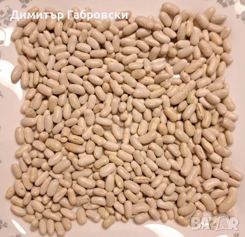 Български бял боб за варене, снимка 2 - Домашни продукти - 43102477