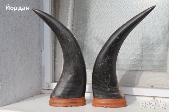 Два рога с резби , снимка 11 - Колекции - 38387450