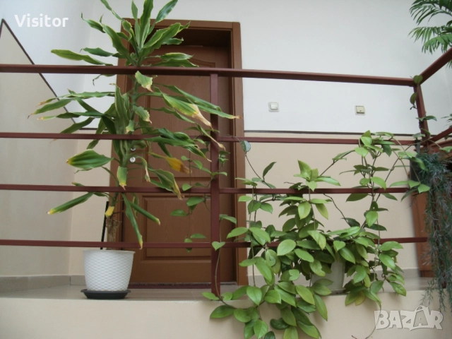 фотоапарат GE  C 1433   14.1 МРх, снимка 18 - Фотоапарати - 52484755