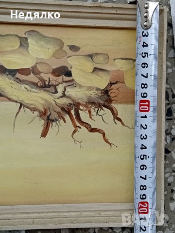 Стари картини,2бр,Георги Цигуларов,масло, снимка 7 - Други ценни предмети - 36760329