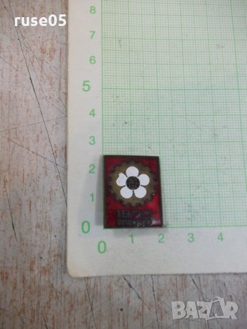 Значка "Пловдив - 1970"