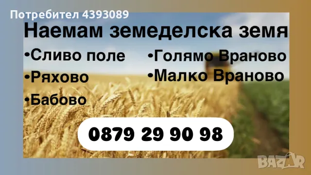 Наемам земеделска земя-Сливо поле, снимка 1 - Земеделска земя - 49182525