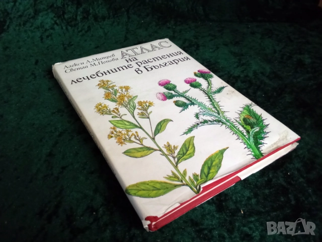 Атлас на лечебните растения в България Алекси А. Митрев Светла М. Попова 