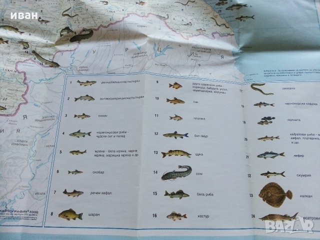 Карта "Рибите в България - къде,кога и как да ловим риба" - 2005 г., снимка 4 - Колекции - 35142262