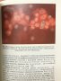 Патологическая анатомия. Атлас - В. В. Серов, Н. Е. Ярыгин, В. С. Пауков, снимка 6