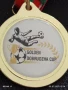 Спортен медал Футбол ЗЛАТНА КУПА ДОБРУДЖА 32499, снимка 3