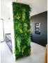 Изкуствени зелени стени , снимка 6