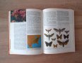 Ретро детски-енциклопедии  от80-те години, 3броя за33лв, снимка 6