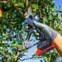 Професионален Комплект KraftWorld: Акумулаторна Лозарска Ножица + Телескопичен Прът, снимка 2