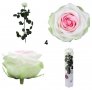 Естествени стабилизирани рози и цвят роза-за дома, подарък, декорация с мъх, снимка 11