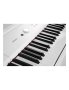 Дигитално пиано Artesia Performer WH , 88 клавиша, 7 октави, снимка 2