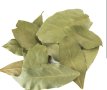 Дафинов лист , снимка 1 - Градински цветя и растения - 43117949