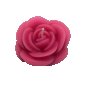 Мини роза, снимка 2